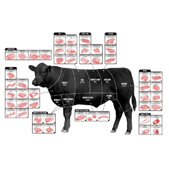Beef Cuts Of Meat Butcher Chart Cattle Diagram Poster 16in x 24in 16x24 Square Adults Best Posters