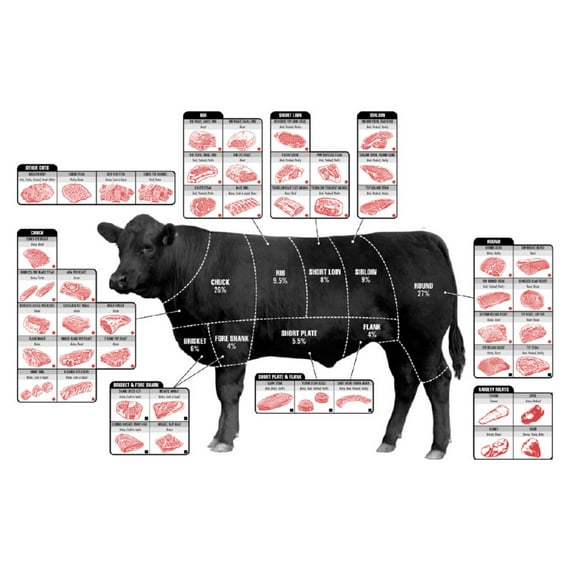 Beef Cuts Of Meat Butcher Chart Cattle Diagram Poster Art 27Inx40In 27x40 Square Adults Best Posters