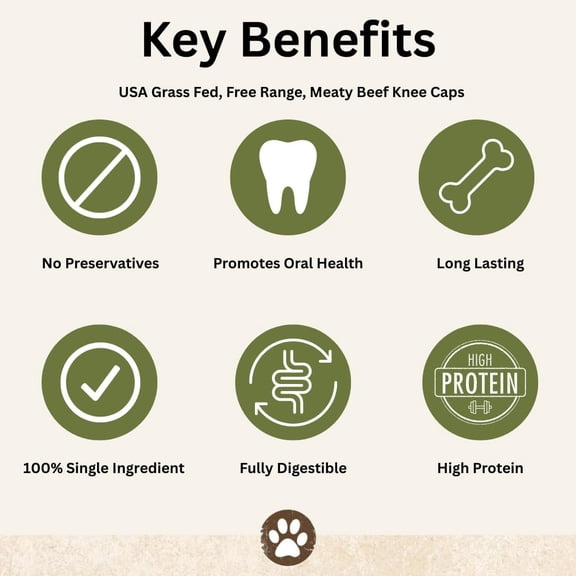 Beef Knee Caps - Long Lasting Treats for Aggressive Chewers, Dental Health Bones for Large Medium Small Dogs