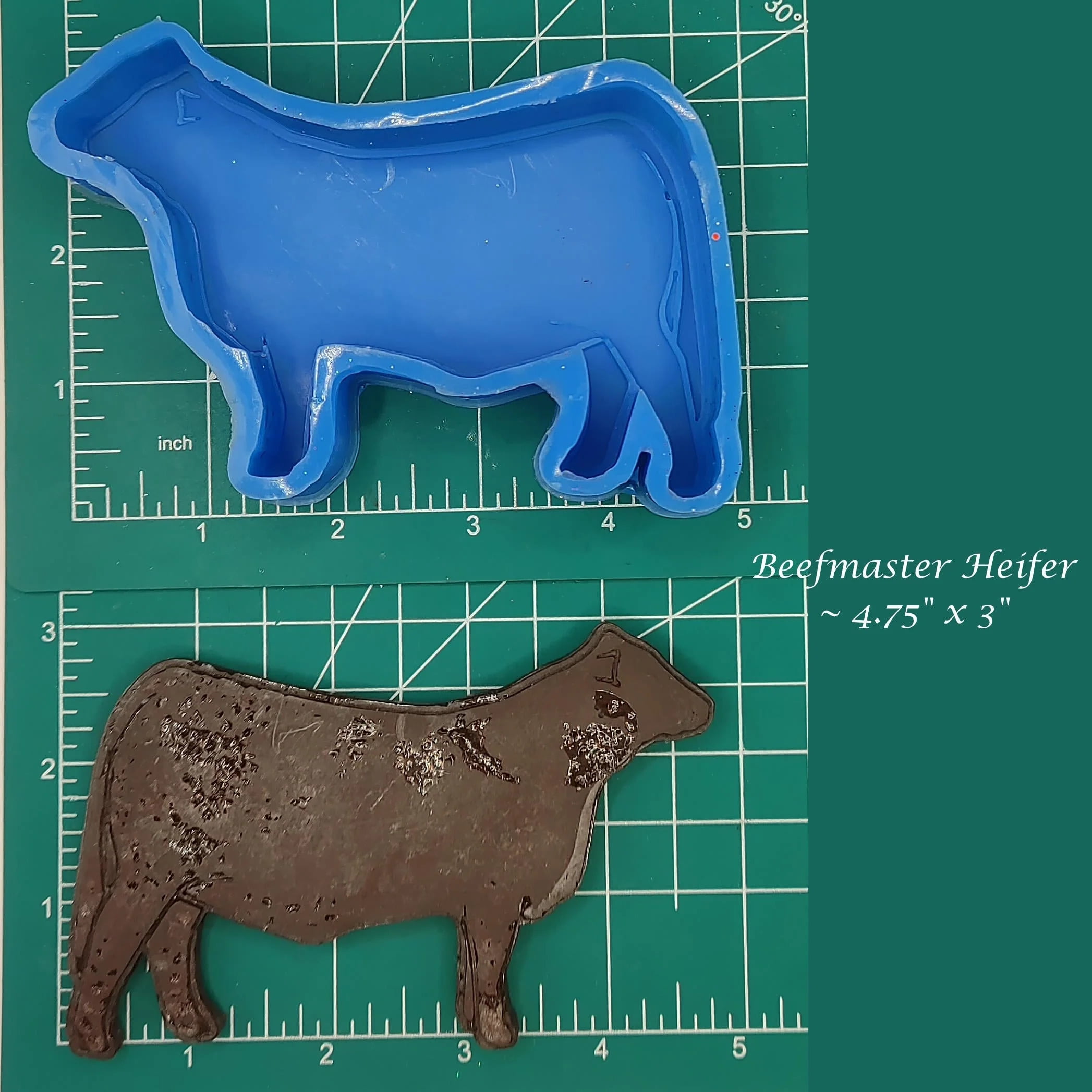 Beefmaster Heifer Silicone Freshie Mold