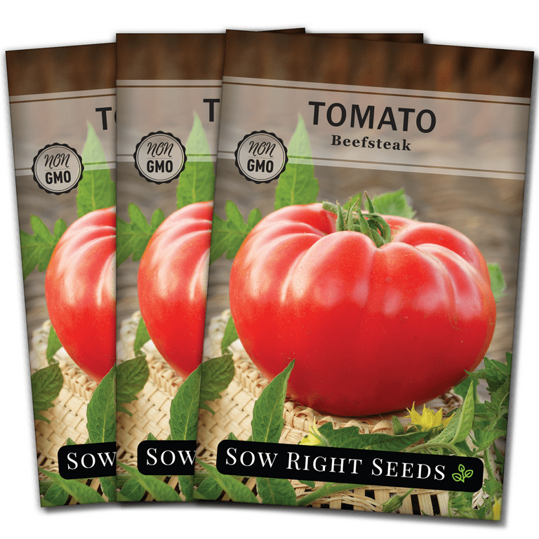 How to Plant and Grow Beefsteak Tomatoes