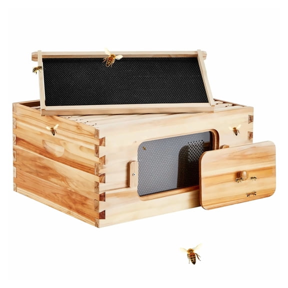 Beehive Kit for Beekeepers, 10 Frame Langstroth Bee Hive Deep Box with Foundations, Natural Fir Wood Beeswax Coated, Transparent Window for Bee Observation