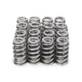 thumbnail image 1 of Beehive RPM Series Valve Springs for Ford Coyote 5.0L, 1 of 1