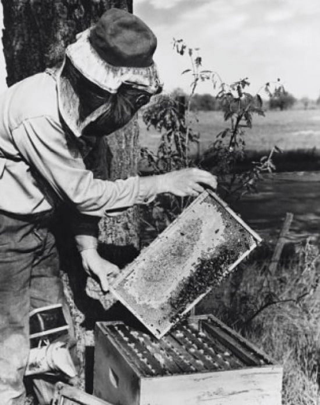 Beekeeper holding a honeycomb Canvas Art - (18 x 24)
