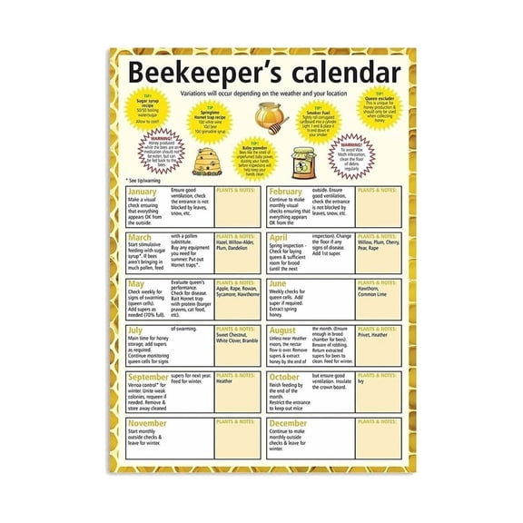 Beekeeping Guide Poster Vintage Beekeeper Knowledge Calendar with Seasonal Tasks Chart Educational Farmhouse Wall Art for Home Study Room Decor