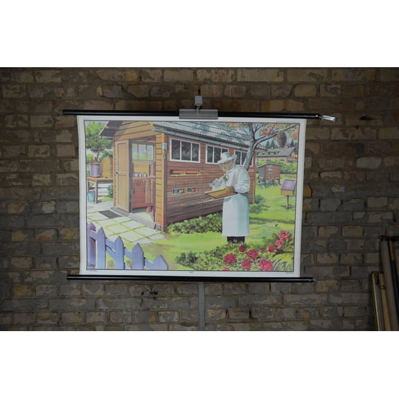 Beekeeping Honey Bee Hive Chart, Unframed Paper Poster 8x10in
