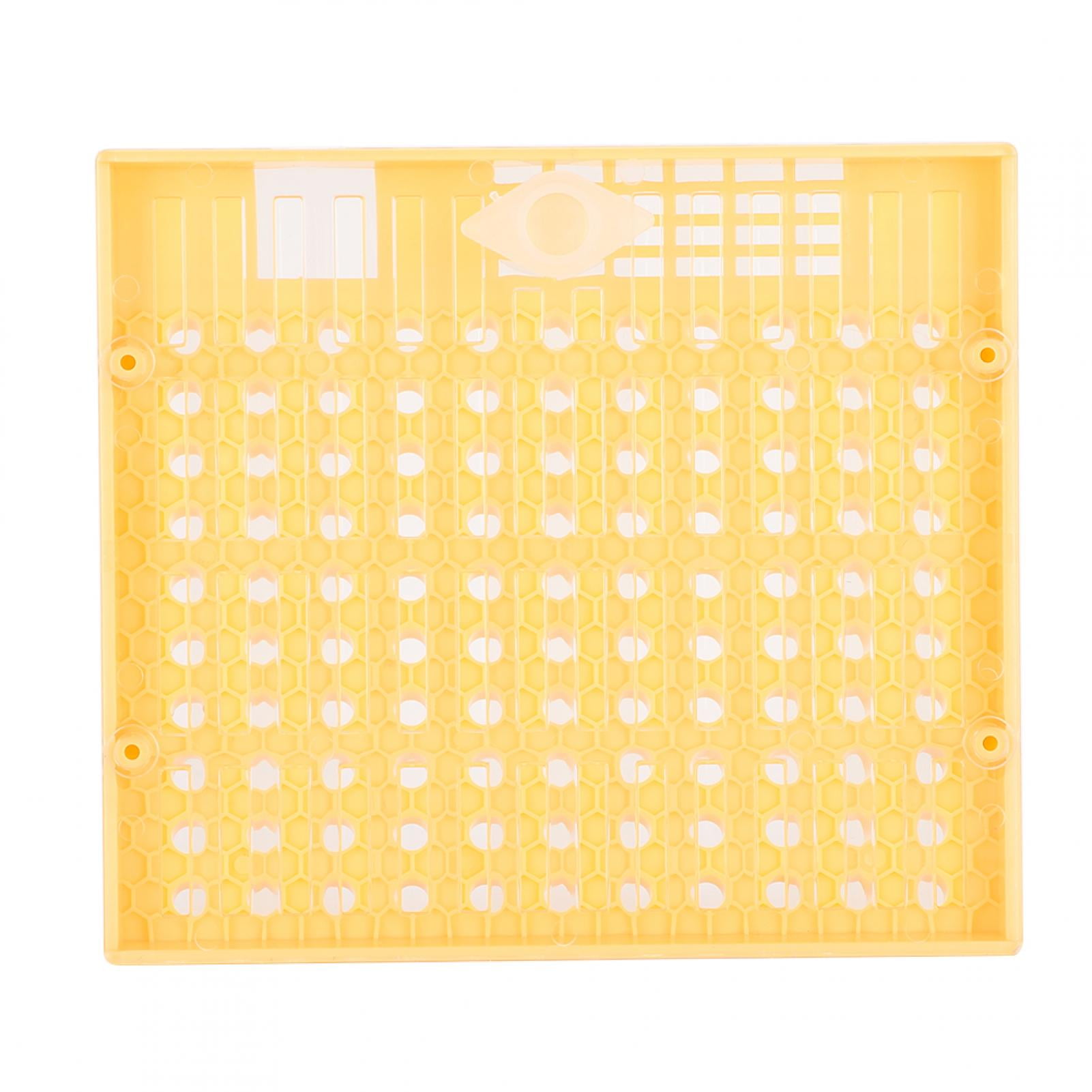 Beekeeping Tool Incubator Bee King Breeding Box, Harmless Breeding Box ...