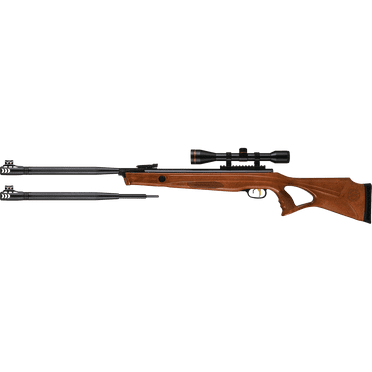 Beeman DC (Dual Caliber .177 or .22) Gas Ram Air Rifle Combo, Wood Stock, w/ 6 X 40 Scope & Picatinny Style Mounts