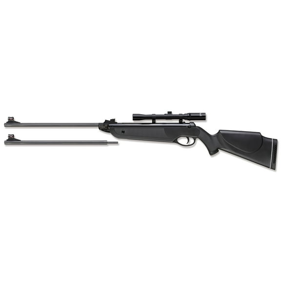 Beeman 1022 Black Cub DC Air Rifle Combo (Dual Caliber .177 or .22), Synthetic Stock, 4 X 32 Scope