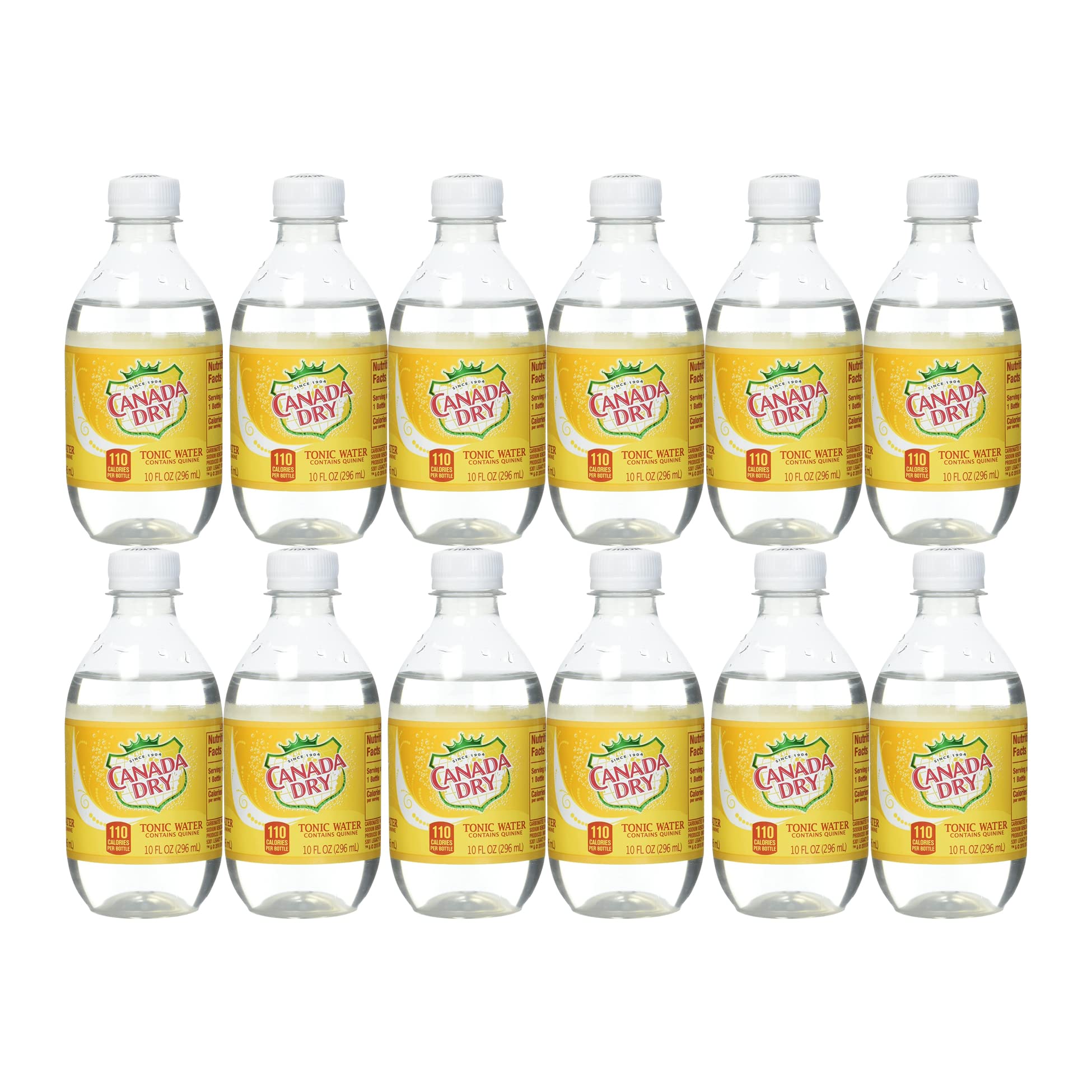 Beeq Box (Pack Of 12) Canada Dry Tonic Water, 10 Fl Oz