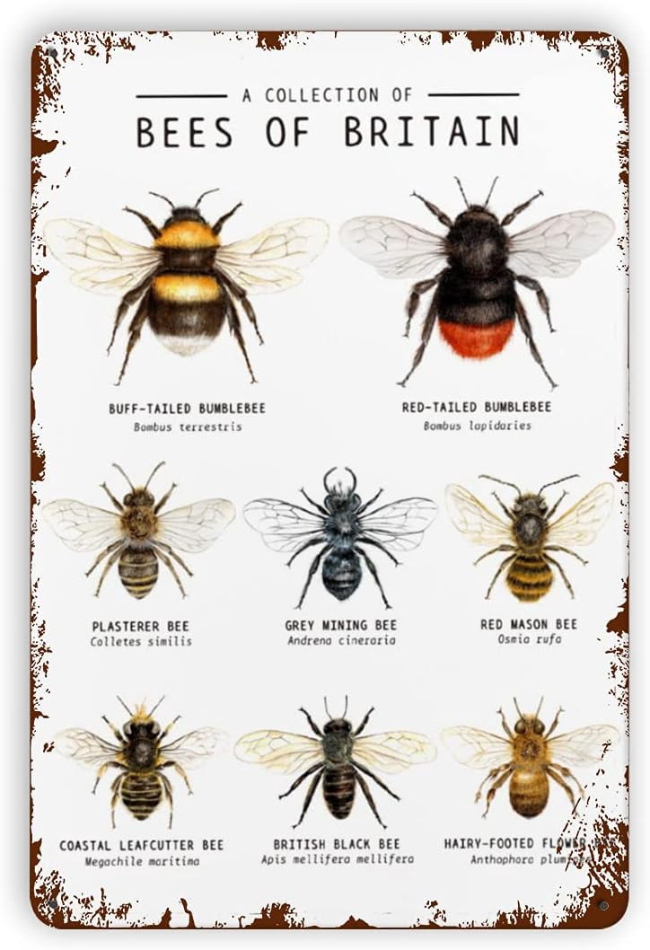 Bees of Educational Classroom Wall Art Homeschool Learning Through ...