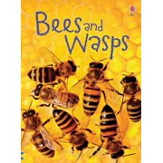 Beginner's Nature Bees and Wasps Hardcover
