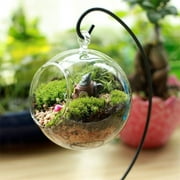 BeesClover Creative Clear Glass Ball Vase Micro Landscape Air Plant Terrarium Succulent Hanging Flowerpot Container