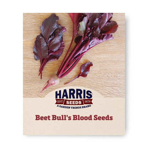 Beet Bull's Blood Seed, Organic, 250 Seeds