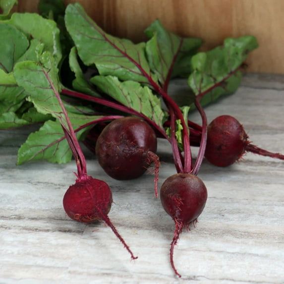 Beet Detroit Dark Red Seed, Treated, 1 lbs