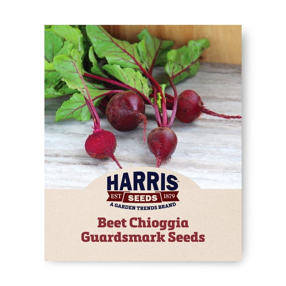 Harris Seeds Detroit Dark Red Beet, Deep Red Globe Roots for Fresh Harvest and Winter Storage, 250 Count