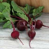 Beet Detroit Dark Red Seeds - Treated - 250 Seeds