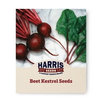 Beet Kestrel F1 Seed, Untreated, 250 Seeds