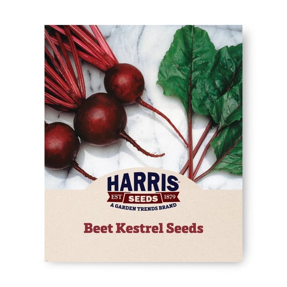 Harris Seeds Kestrel F1 Beet, Dark Red Globe Roots for Baby or Full-Size Harvests, 250 Count