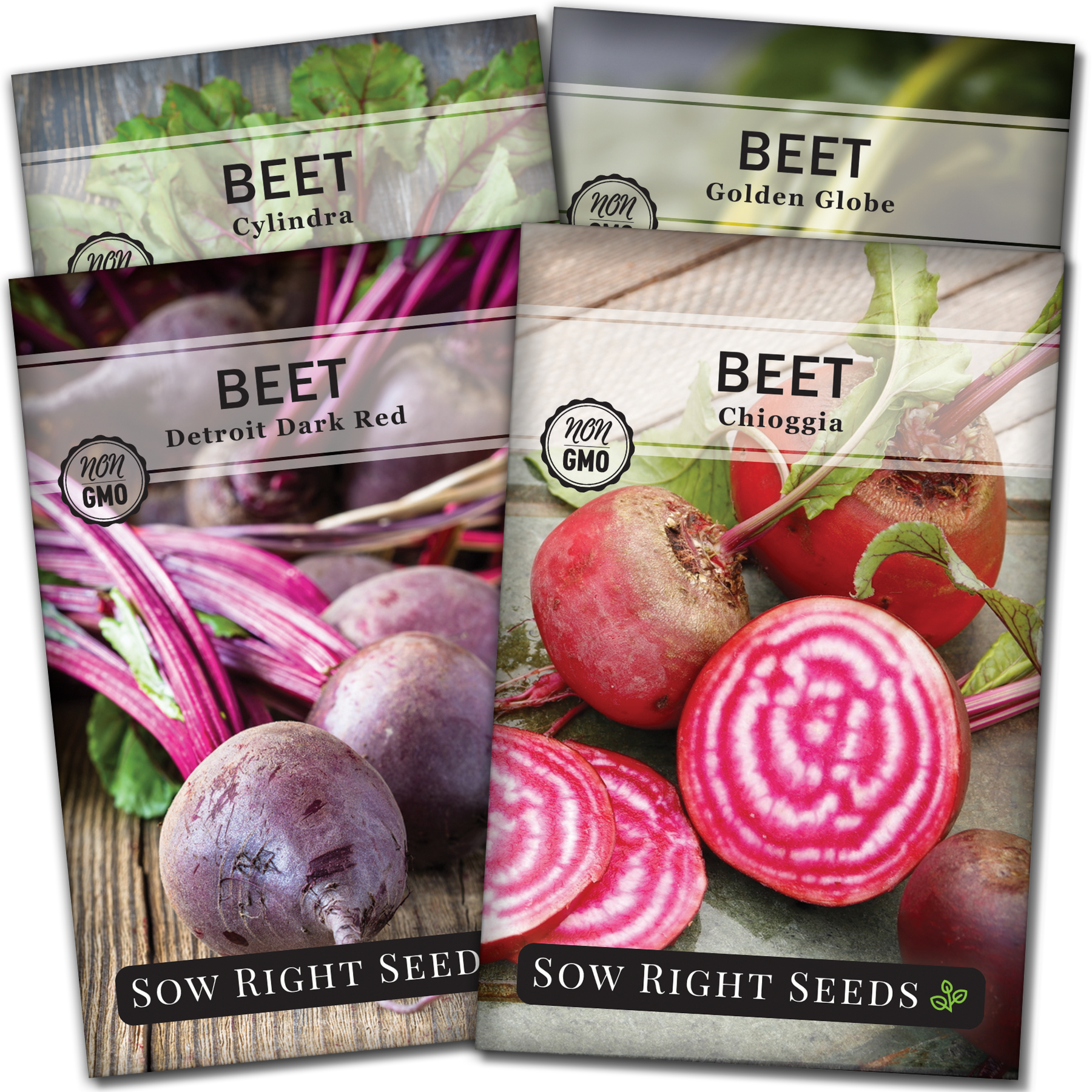 Sow Right Seeds Beet Seed Collection Plant Seeds (4 Pack), Non-GMO