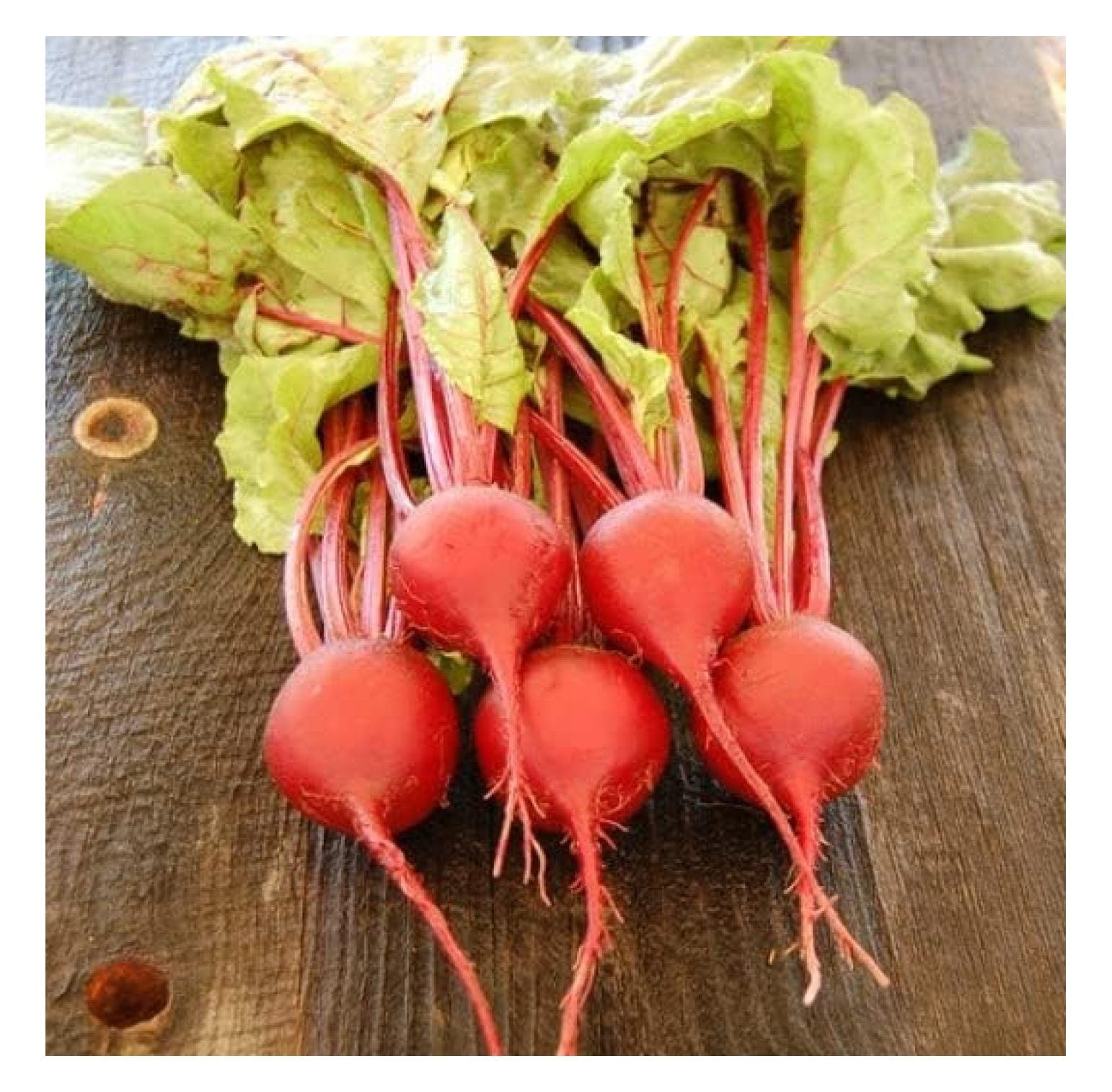 Beet Seeds Early Wonder 1 Pound Vegetable Seeds, Heirloom Seed