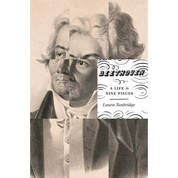 Pre-Owned Beethoven: A Life in Nine Pieces (Hardcover) 030025458X 9780300254587