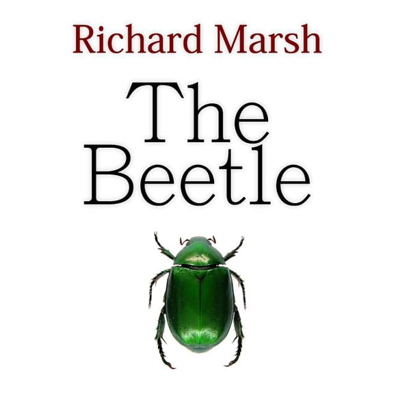 Beetle : A Mystery