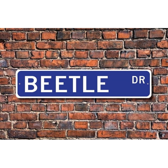 Beetle Beetle Gift Beetle Sign Beetle decor Beetle lover Beetle expert insect bug Metal Aluminum Sign - Size: 16 x 4 Inches