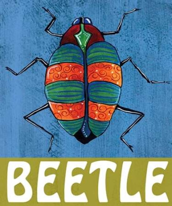 Beetle Canvas Art - Shanni Welsh (20 x 24)