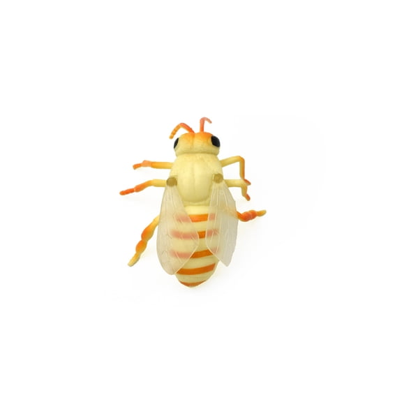 Beetle, Yellow, Flying, Realistic Rubber Model, Bug, Insect, Educational, Hand Painted, Figure, Lifelike, Model, Figurine, Replica, Toy, Gift,   3 Inches    CWG48 B155