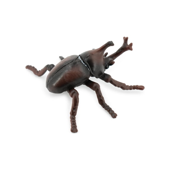 Beetle, Japanese Rhinoceros Beetle, Museum Quality, Rubber Inscet, Hand Painted, Realistic Toy Figure, Model, Replica, Kids, Educational, Gift, 2 1/2" CH207 BB118