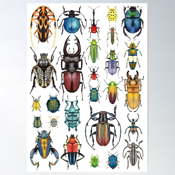 Beetle Mania Poster, 8x12 UNFRAMED