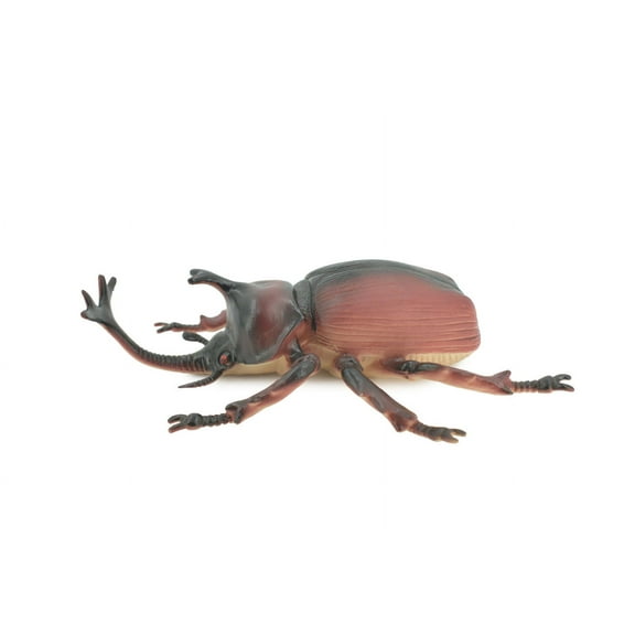 Beetle, Rhinoceros, Horned Stag Beetle, Dynastinae, Rubber Insect, Educational, Toy, Kids, Realistic Figure, Lifelike Model, Figurine, Replica, Gift, 7" ABC06 B262
