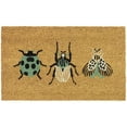 thumbnail image 1 of Beetle and Bugs Doormat, 1 of 5