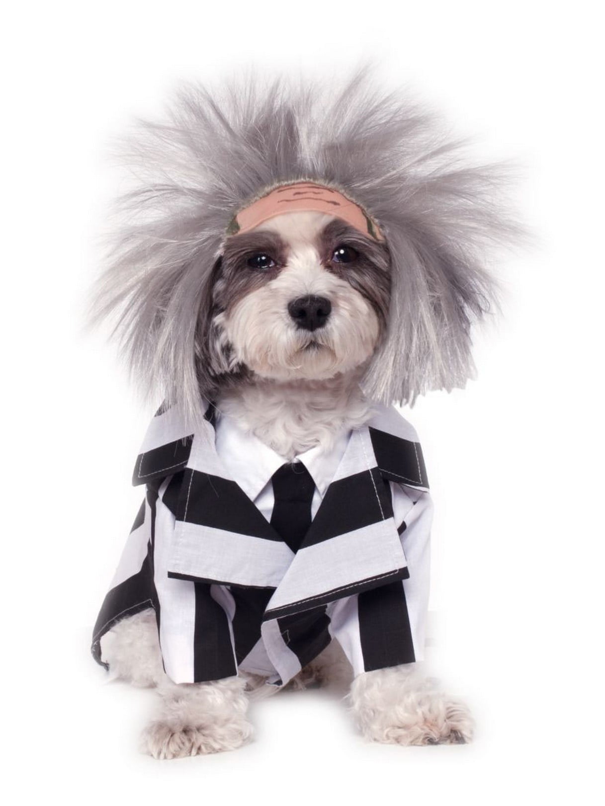 BeetleJuice Pet Costume BeetleJuice Pet Costume