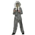 thumbnail image 1 of Beetlejuice Costume for Teens by Rubies, One Size Fits Most, 1 of 2