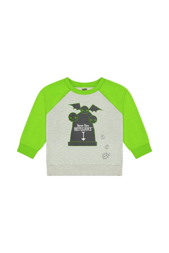 Toddler Boy Long Sleeve Fleece Sweatshirt, Sizes 12M-5T
