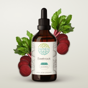 HerbEra Beetroot Tincture, Herbal Dietary Supplement for Circulatory Support, Beetroot (Beta vulgaris) Dried Root Extract, Natural, Alcohol Tincture, Drops 4 oz