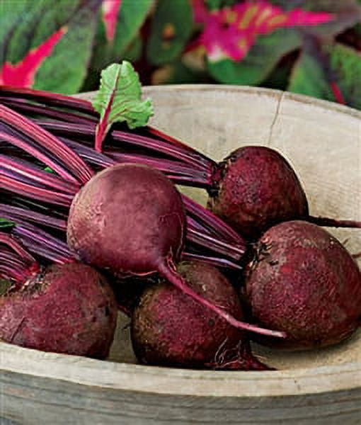 Beets Detroit Dark Red Seed 1 Packet