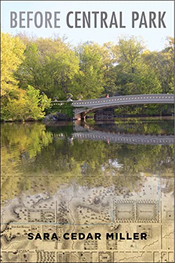 Pre-Owned Before Central Park (Hardcover) 0231181949 9780231181945