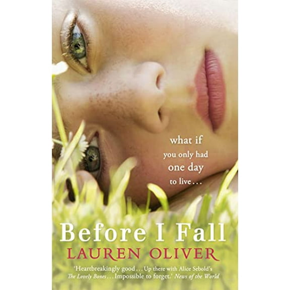 Pre-Owned Before I Fall (Paperback) 0340980907 9780340980903