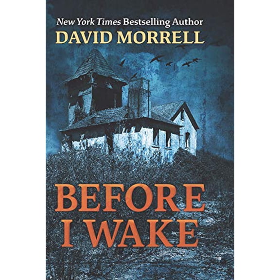 Pre-Owned Before I Wake (Library Binding) 9781432877224