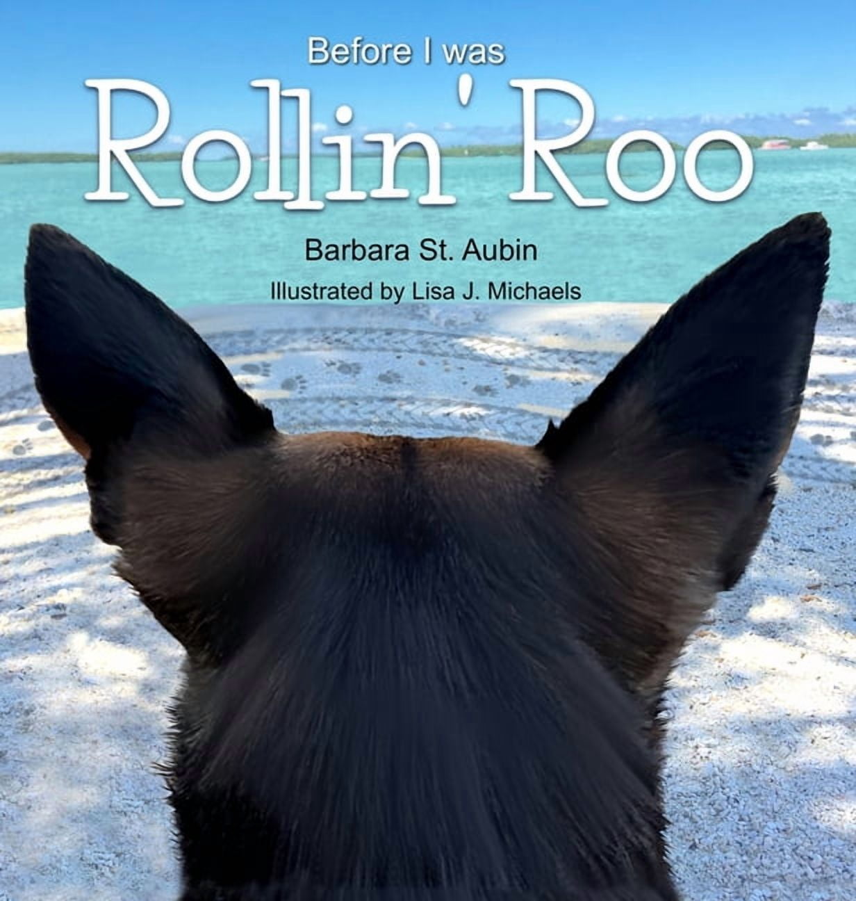 Before I was Rollin' Roo, (Hardcover)