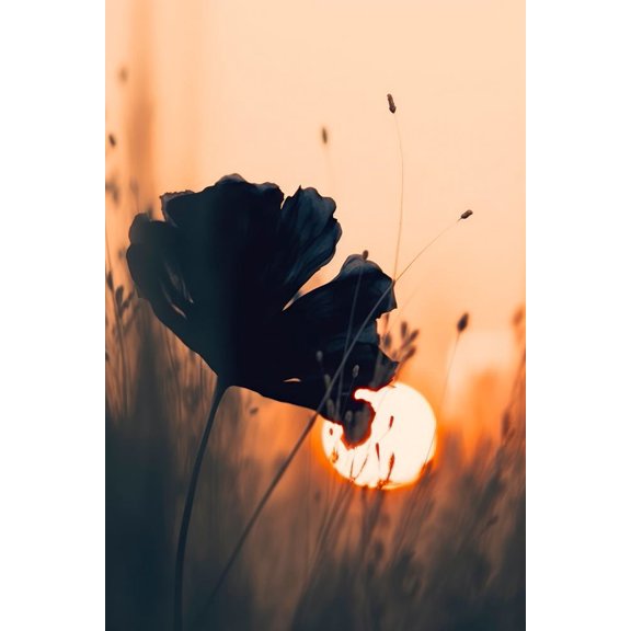 Before Sunset No 2 Poster Print - Treechild (24 x 36)