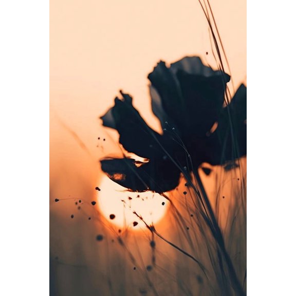 Before Sunset No 4 Poster Print - Treechild (16 x 24)