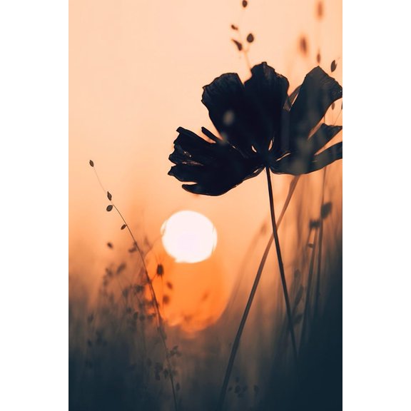 Before Sunset No1 Poster Print - Treechild (16 x 24)