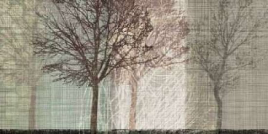 Before Winter Canvas Art - Tandi Venter (24 x 48)