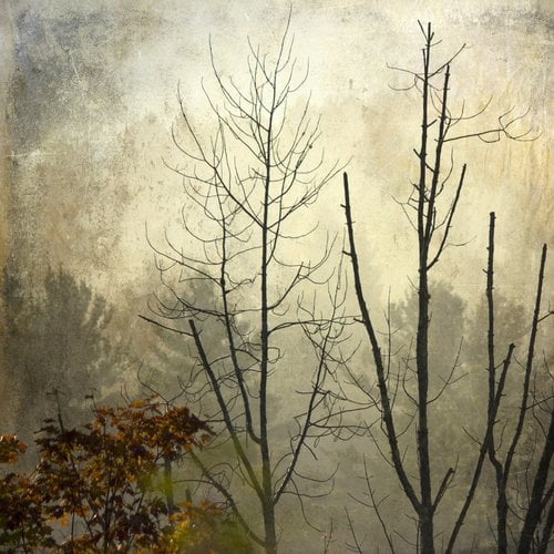 "Before the First Snow" Painting Print on Wrapped Canvas
