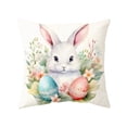 thumbnail image 1 of Beforeyayn Easter Throw Pillow Cover Set, Holiday Decorative Cushion Cover with Egg and Bunny Pattern, Soft Polyester Spring Home Decor for Sofa Living Room, Bedroom Festival Accent, 1 of 6