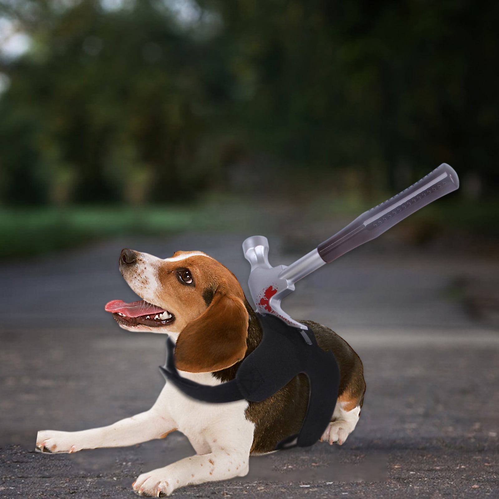 BeforeyaynCats And Dog Halloween Costumes Chest And Back Spoof Straps